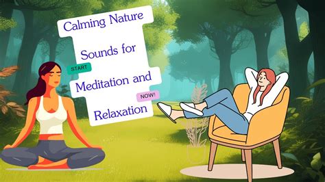 Relax 的图像结果