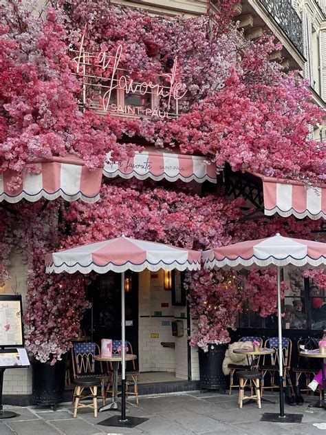 Paris in the Wintertime