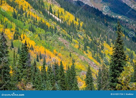 Colorado Fall Foliage Conundrum Hot Springs Trail Stock Photo - Image ...