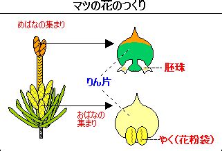 Image result for Alien Letter D