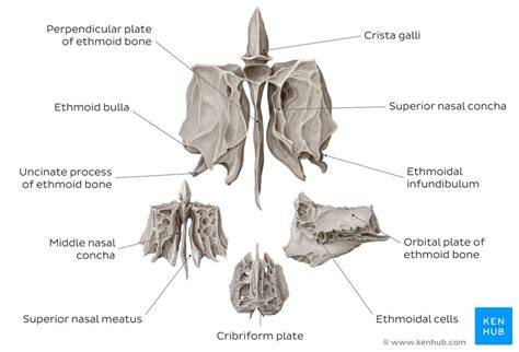 Image result for JS Objects Methods