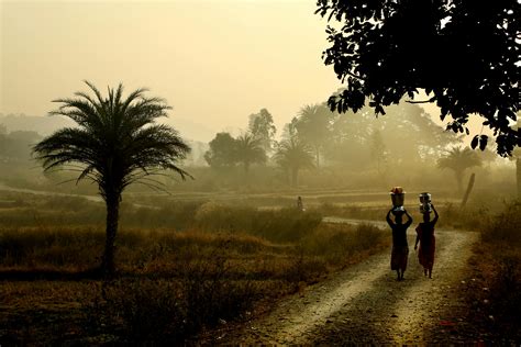 Image result for Is Locals Free