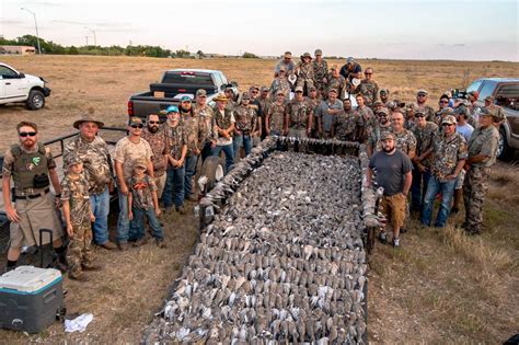 Guided Dove Hunts in Texas | Dry Creek Outfitters