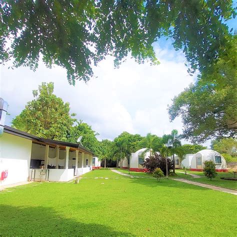 THE LION KINGDOM SIGIRIYA - Hotel Reviews, Photos, Rate Comparison ...