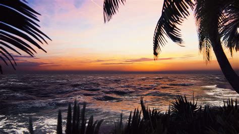 Howling Wind Sounds ASMR 的图像结果