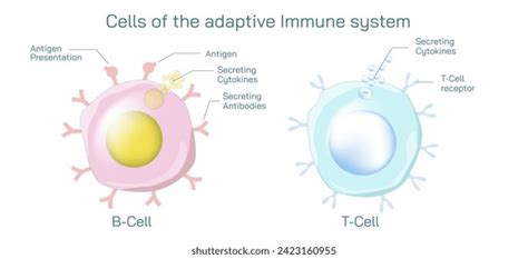Image result for Adaptive Control System in Human Body