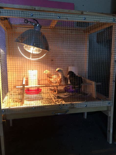 Brooding Pen 的图像结果