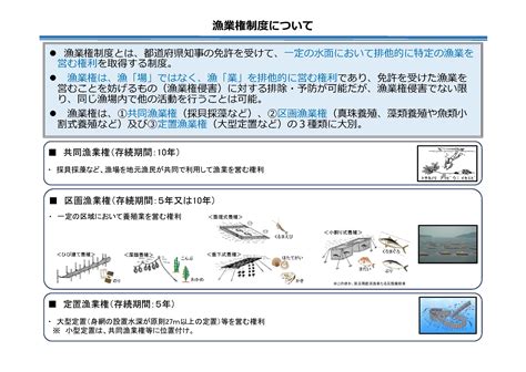 Batch Scripting Tutorials One Shot 的图像结果