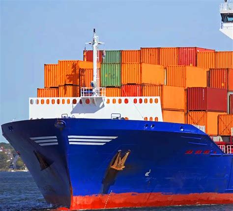 Freestyle Shipping | Domestic & International Movers