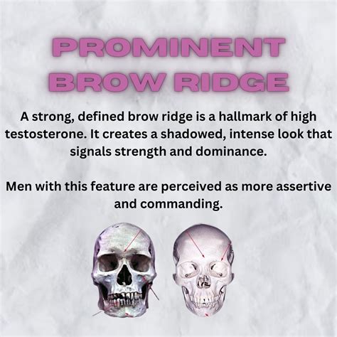 The Ascension Tribe|Health & Beauty | | 𝟑 𝐅𝐚𝐜𝐢𝐚𝐥 𝐅𝐞𝐚𝐭𝐮𝐫𝐞𝐬 𝐖𝐨𝐦𝐞𝐧 𝐋𝐨𝐯𝐞 ...