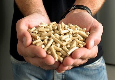 The best flues for Biomass