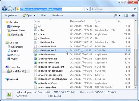 Image result for Cahnge Language of SQL Developer Guide.pdf