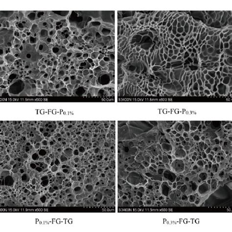 Image result for TG Genetic Modification