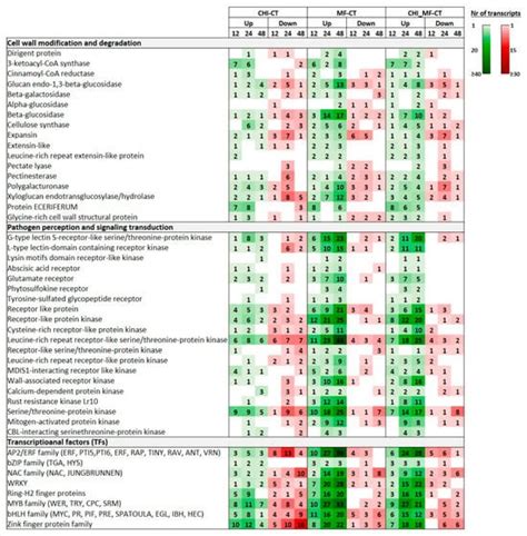Global Transcriptome Analysis of the Peach (Prunus persica) in the ...