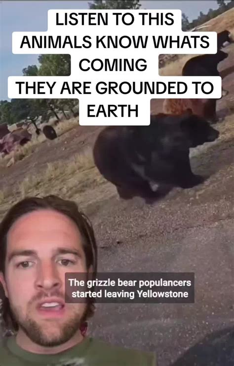 Yellowstone Animal Migration Claims Debunked - Facts.ly Checker