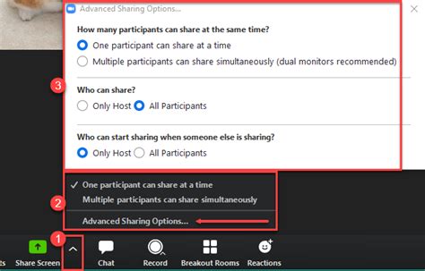 Image result for Zoom Host Tutorial