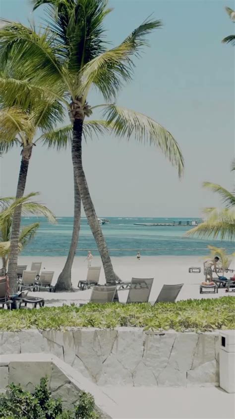 5 expert tips for Punta Cana 2024 and 1 to avoid! | Punta cana travel, Punta cana, Punta cana ...