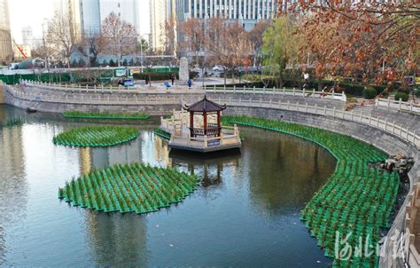 河北邢台：“生态浮岛”改善河道水环境 - 国际在线移动版