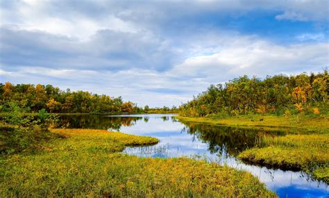 Nature River 的图像结果