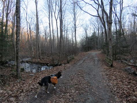 Gone Hikin': Wawayanda State Park, NJ - Pinwheel Vista and Wawayanda ...