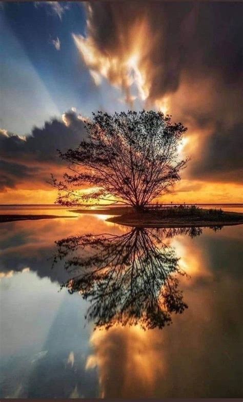 Alessandro ⚓️ NO DM on Twitter: "Good evening dear friends !
#photos #photography #evening #sunset"