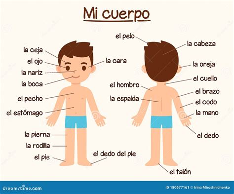 Basic Body Parts In Spanish