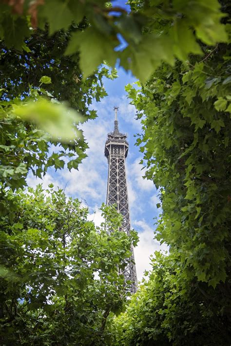 Image result for Composition Tutorial