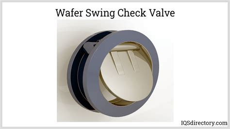 Image result for Spring Loaded Swing Check Valve