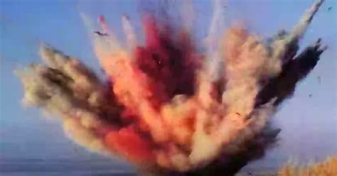 Shocking Whales Exploding Moments 的图像结果