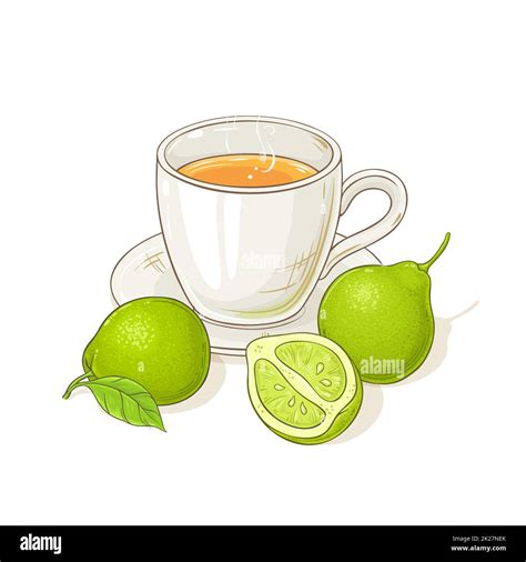 bergamot tea illustration Stock Photo - Alamy