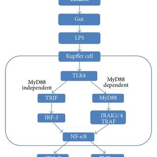 Image result for Java Interface UML Diagram