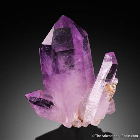 Quartz var. Amethyst - IBM23-09 - Las Vigas - Mexico Mineral Specimen