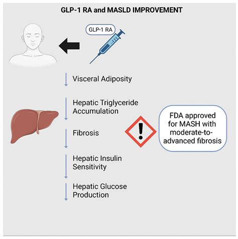 Endoscopic Bariatric Therapies for Metabolic Dysfunction-Associated ...