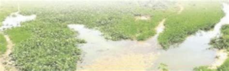 Slew of agro-projects planned for neglected farmlands in Chinchinim ...