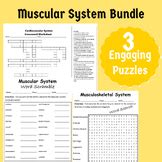 Image result for Musculoskeletal System Word