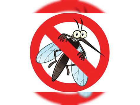 South civic body issues advisory to control mosquito menace