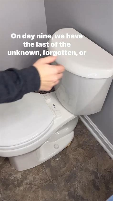 Image result for Clean Flush Tank