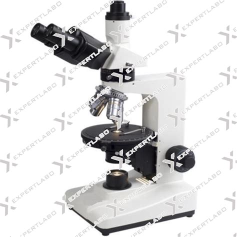 Polarizing Light Microscope 的图像结果
