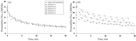 Study of Polysulfone-Impregnated Hydroxyapatite for Ultrafiltration in ...