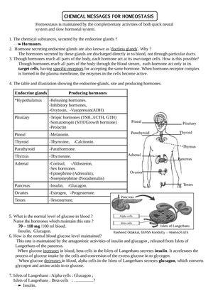 13 Photosynthesis in higher plants plus one - Photosynthesis in higher ...