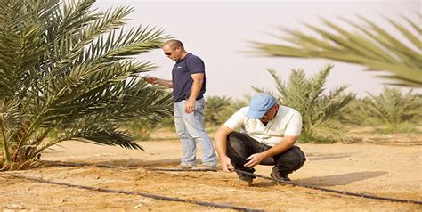 Netafim IAAS: Intelligent Agricultural Assistance Service Plans ...