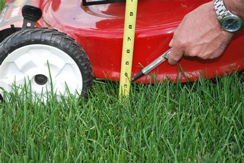Lawn Mowing Tips | Nutri-Lawn