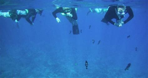 Snorkeling Molokini in Hawaii | Times of India Travel