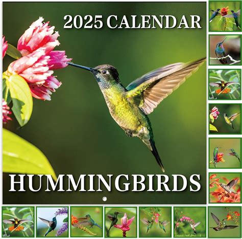 2025 Wall Calendar - Calendar 2025, Jan. 2025 - Dec. Australia | Ubuy