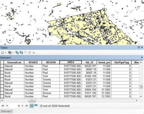 ArcMap Intersect 的图像结果