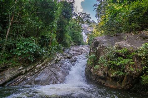 STONG HILL RESORT (Dabong) - Hostel Reviews & Photos - Tripadvisor