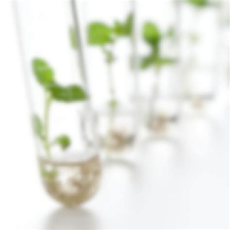 Image result for Information Science Course