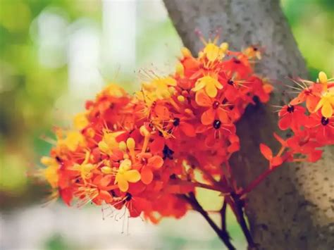 पाइल्स को कम करने में मददगार