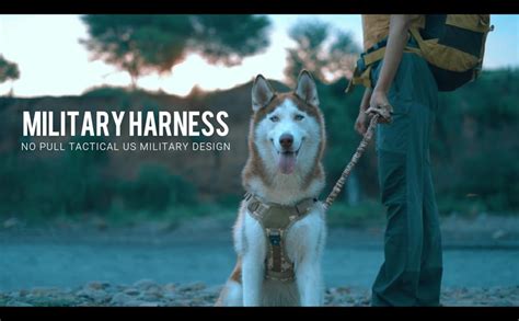 HANK Dog Belt - Dog Harness for Large Dogs - 3M Reflective - Safe ...