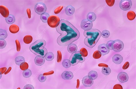 Image result for Computer Keyboard Symbol Methotrexate